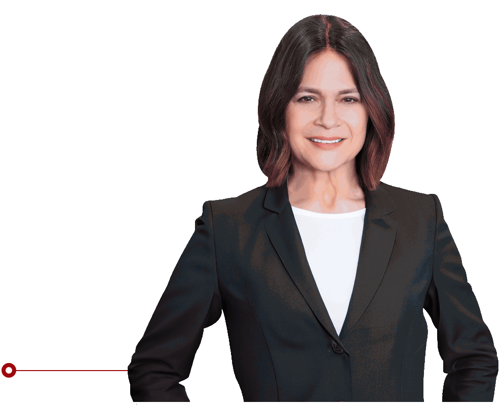 Restraining Order Law Firm Attorney