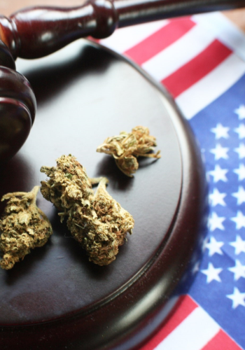 Marijuana on pictured with a gavel and an American flag
