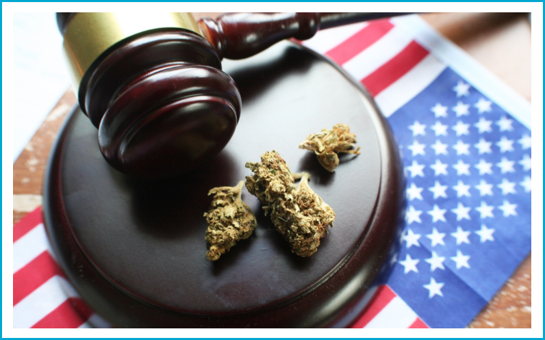 Marijuana pictured with a gavel and an American flag