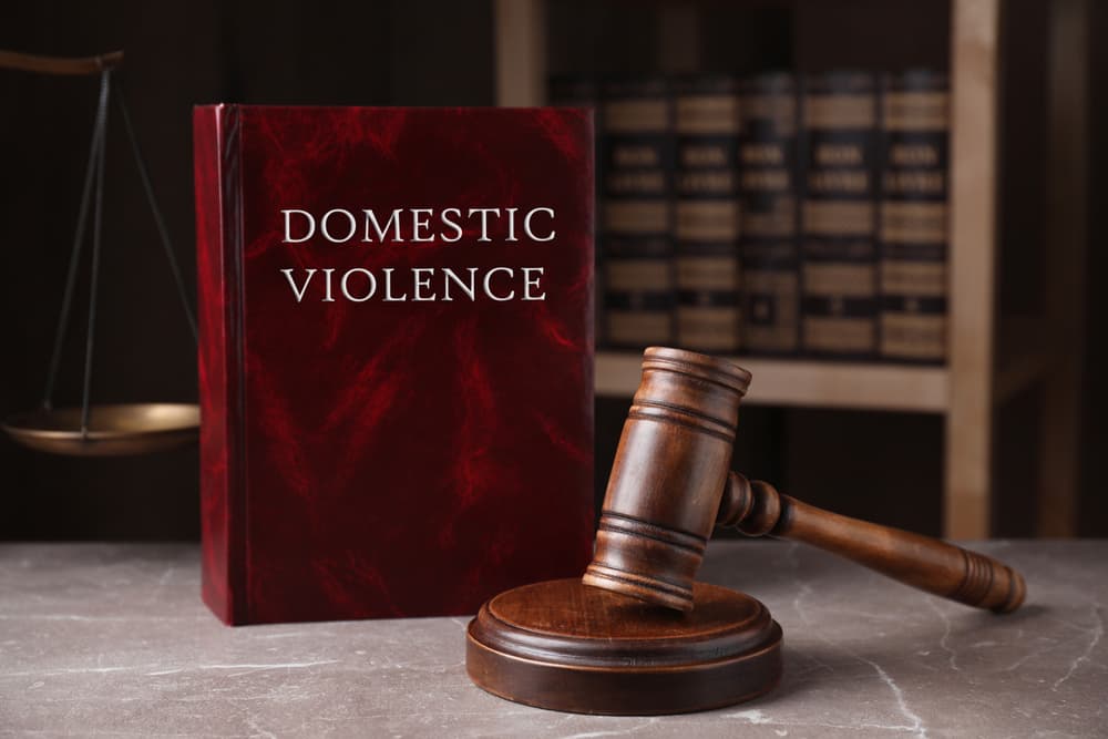 What is a domestic violence application hearing