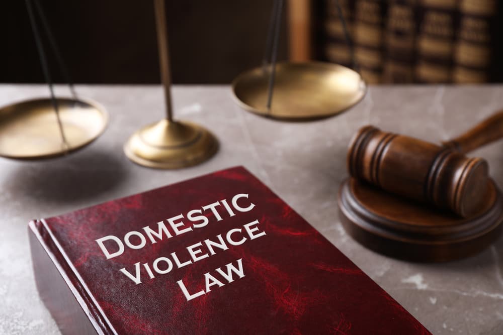 What is domestic violence