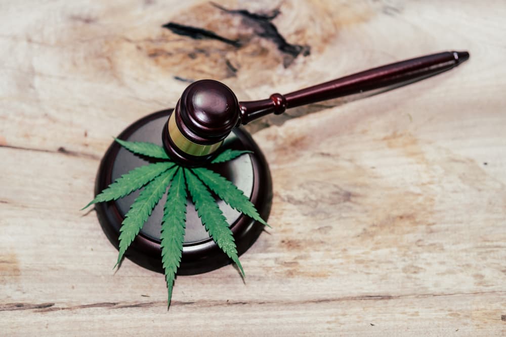 What are the most common drug offenses in California