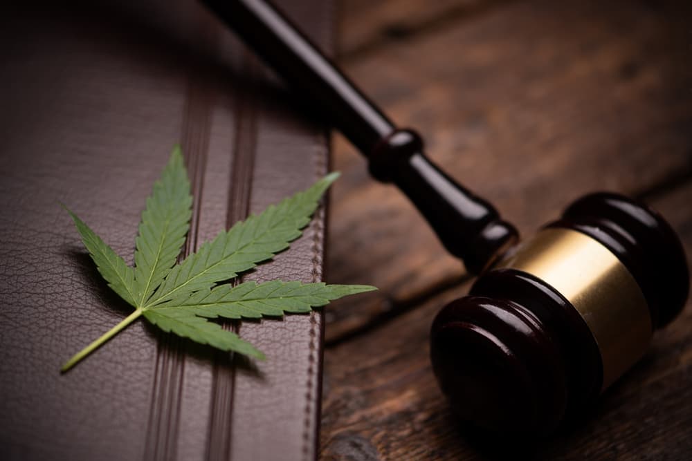Why should I hire an attorney for my drug case