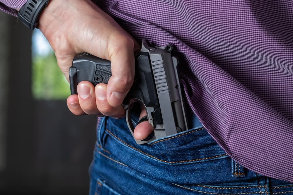 What is Penal Code 29800 in California